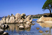 [短道速滑]世界巡回赛意大利站 第2比赛日.